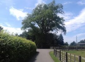 SafeHold Self Storage