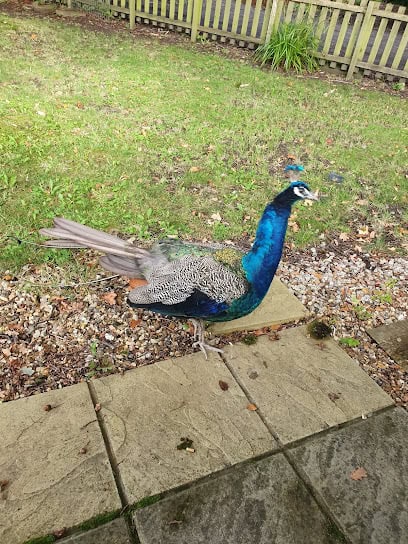 Croxteth Park Storage