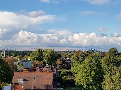 Dulwich Storage Company