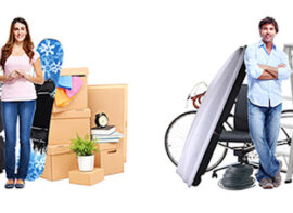 Little Green Self Storage – Elmstead Market