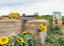 Overstone Grange Farm & Storage