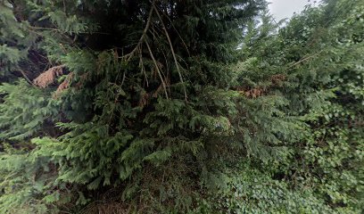 North Down Self Storage