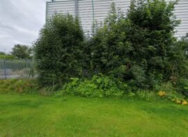 Secure Storage Letterkenny