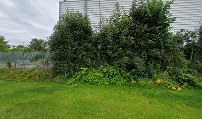 Secure Storage Letterkenny