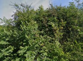 Self Storage Solutions Rayleigh