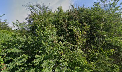 Self Storage Solutions Rayleigh